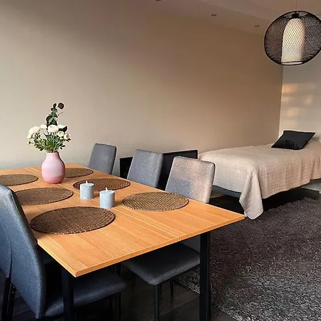 Apartment Cozy Near Santa Village W Free Parking