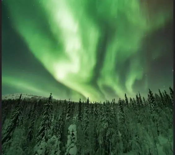 Cozy Near Santa Village W Free Parking * Rovaniemi